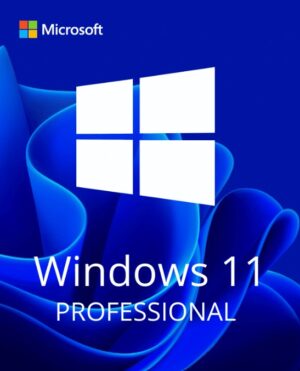 Windows 11 pro Lifetime