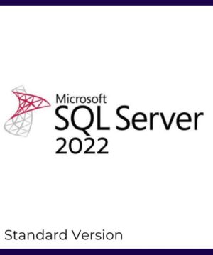 SQL Server 2022 standard License